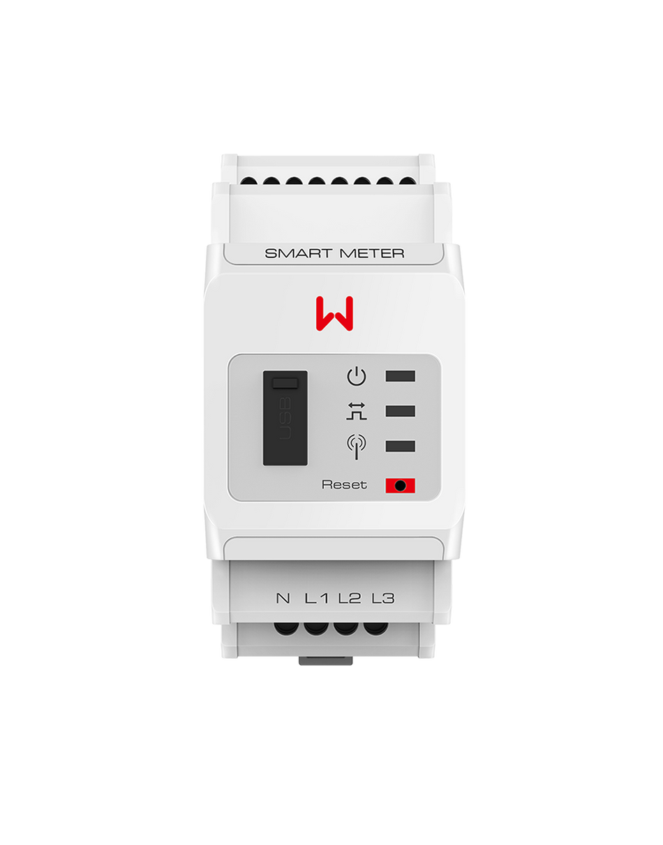GoodWe Smart Meter with 2 of 120A CTs