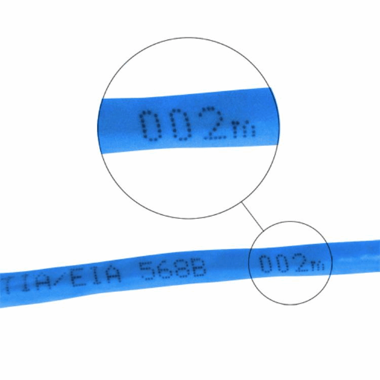 Cat6 UTP LAN Cable - Blue