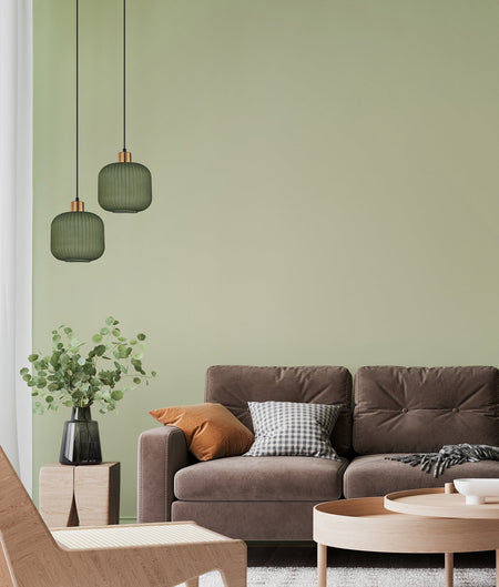 Gomitas Interior Translucent Glass Shade with Brass Highlight Pendant Light - Smokey Black