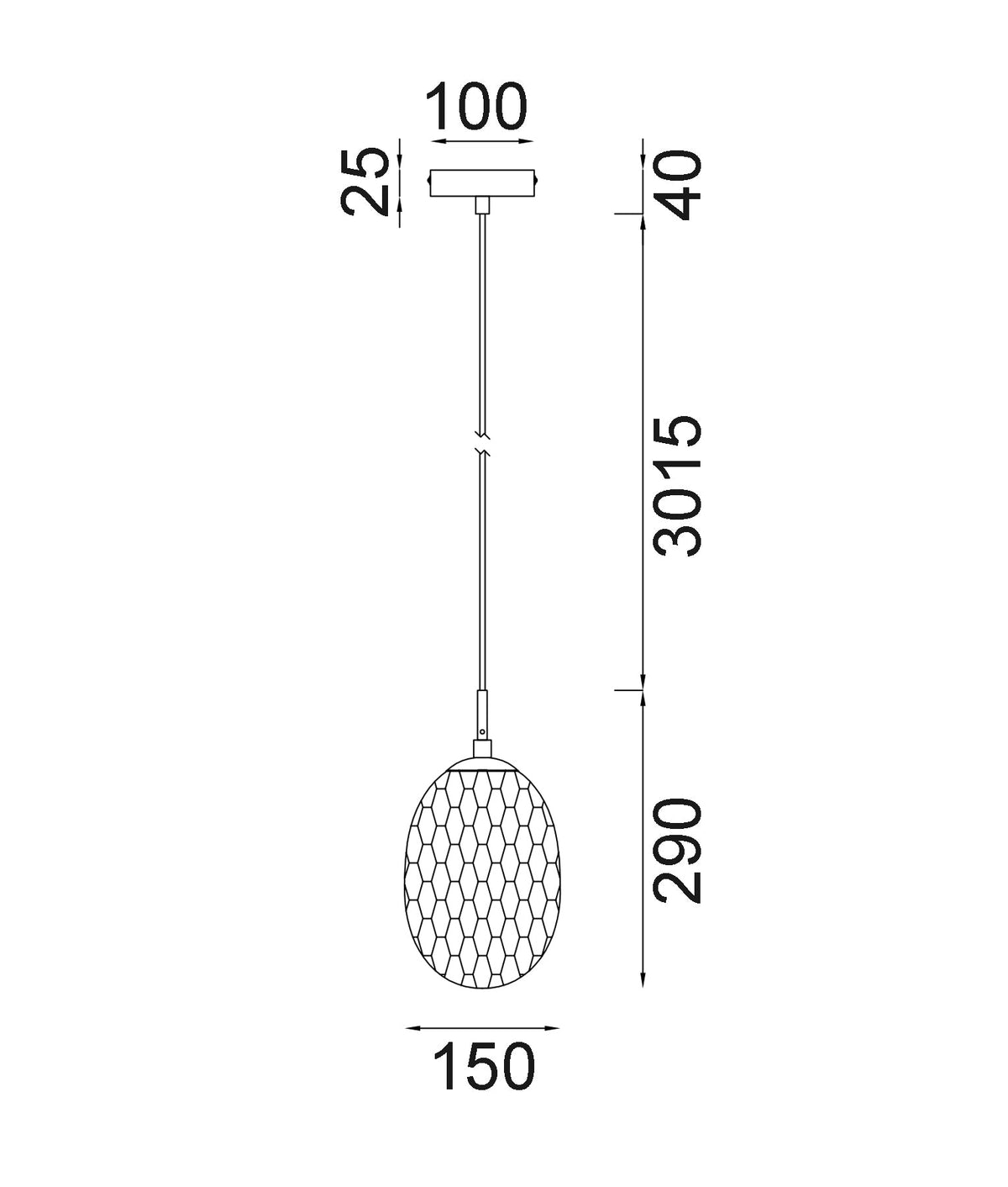 Kathal Interior Ellipse Glass Segmented with Brass Highlight Enclosed Pendant Light - Frosted
