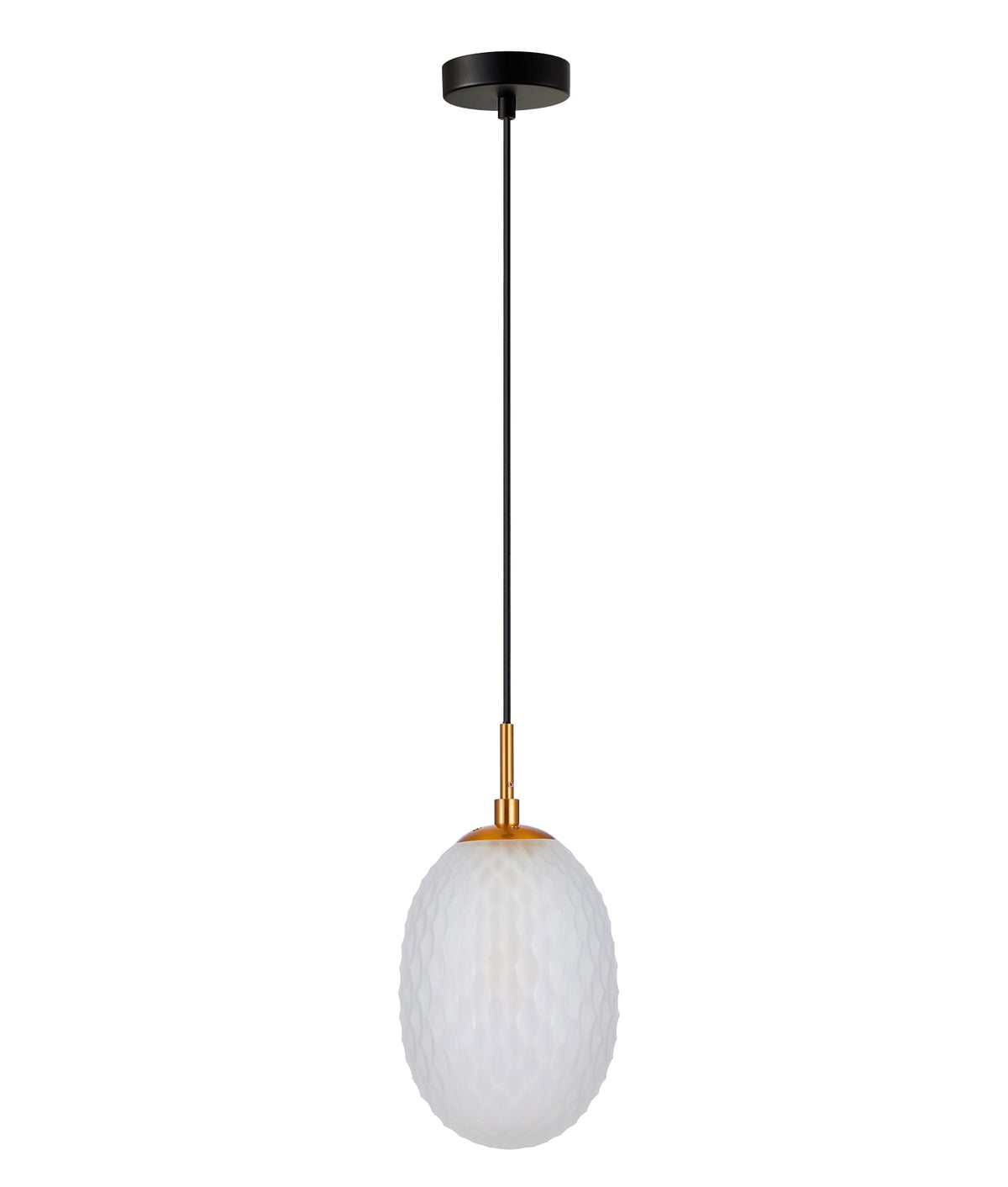 Kathal Interior Ellipse Glass Segmented with Brass Highlight Enclosed Pendant Light - Frosted