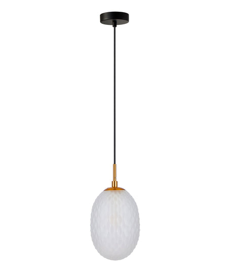 Kathal Interior Ellipse Glass Segmented with Brass Highlight Enclosed Pendant Light - Frosted