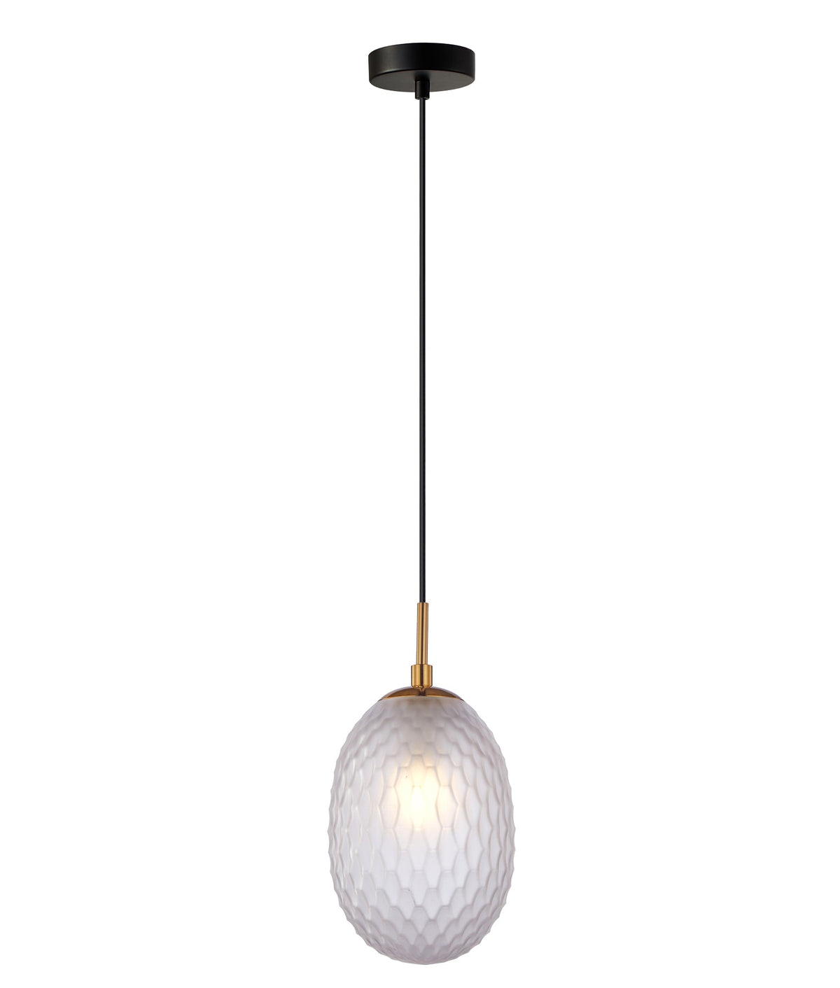 Kathal Interior Ellipse Glass Segmented with Brass Highlight Enclosed Pendant Light - Frosted