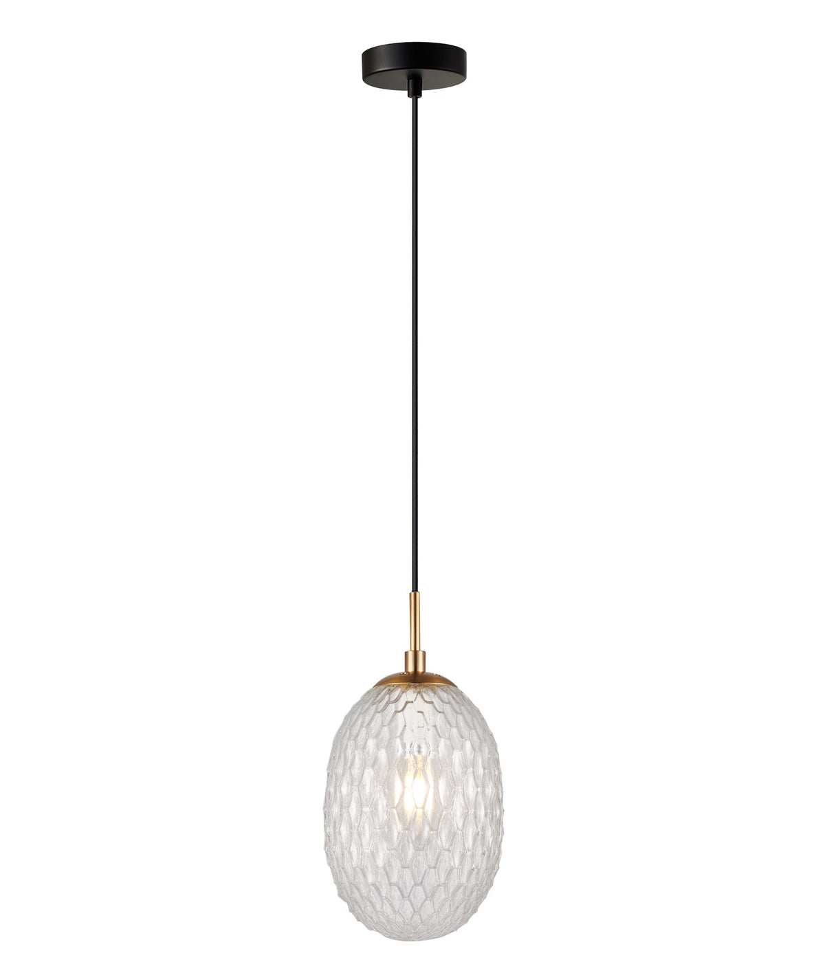 Kathal Interior Ellipse Glass Segmented with Brass Highlight Enclosed Pendant Light - Clear