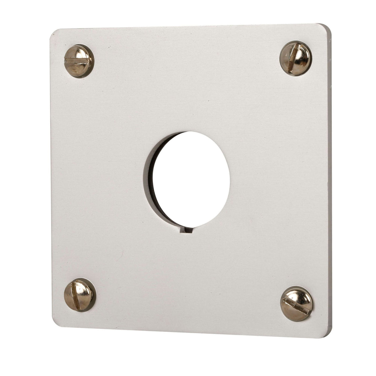 Indicator Mounting Plate - left view