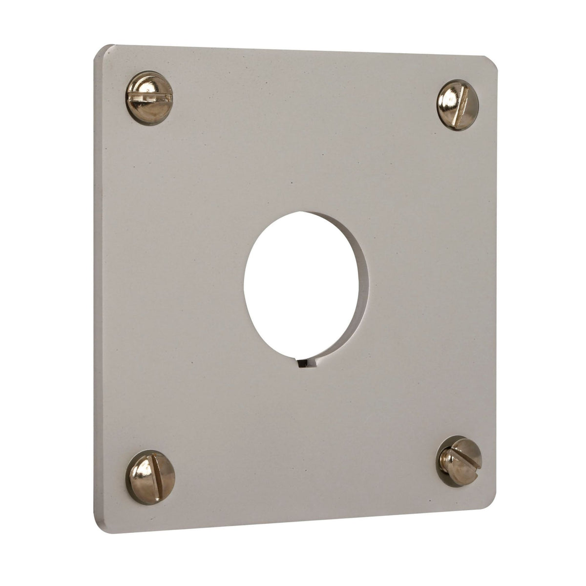 Indicator Mounting Plate - right view