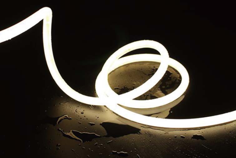 NE-D22 SERIES NEON STRIP LIGHT