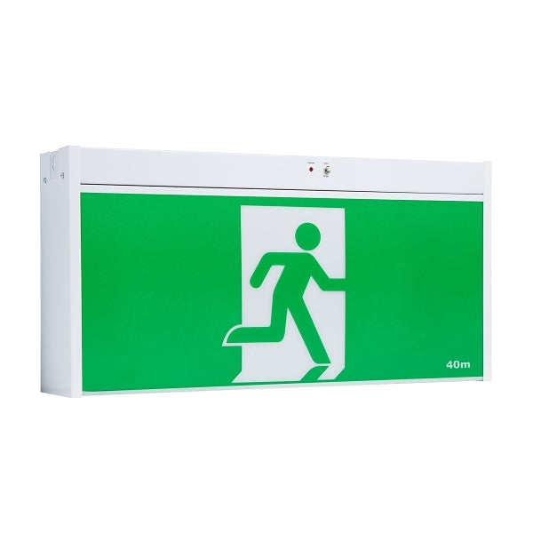 Stanilite Single Point Platinum Exit Lighting LED Jumbo Exit Ceiling Mount SS***EMAIL/TEXT FOR PRICING***