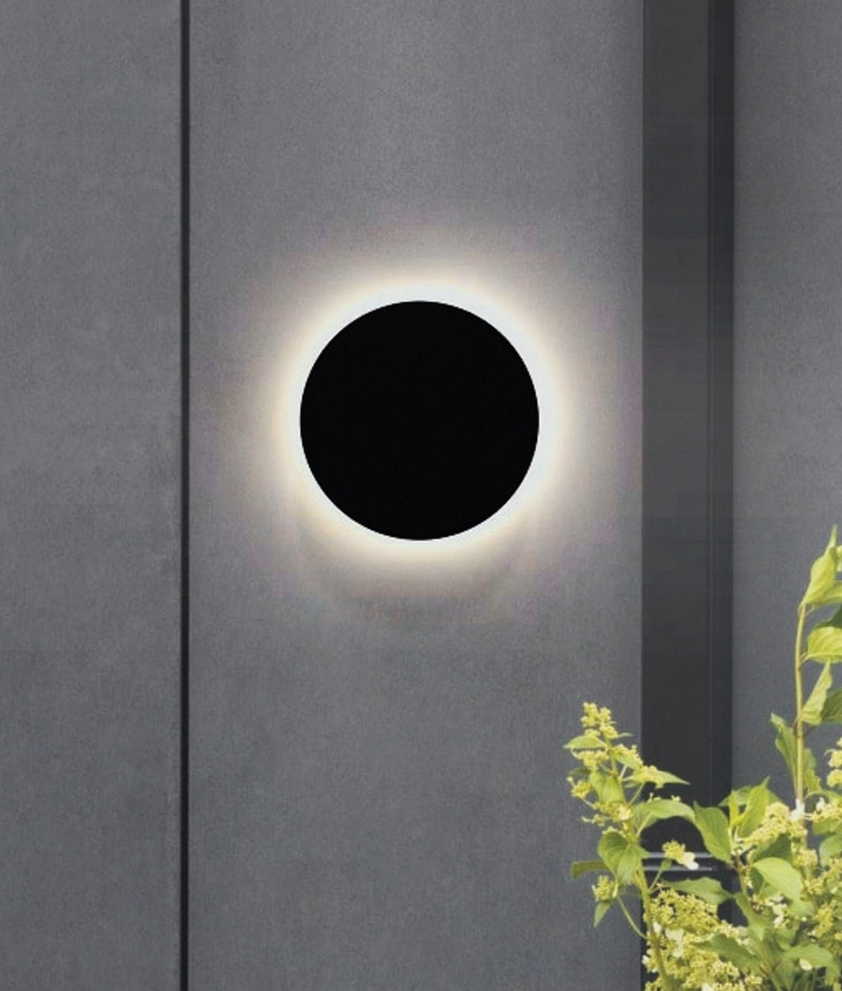 Shadowtri Exterior LED Tri-CCT Round Backlit Wall Light IP65 & IK08 (Diam: 250mm) - White