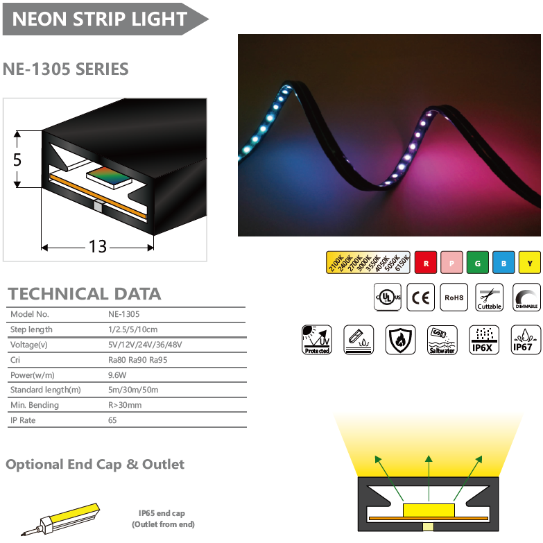 NE-1305 SERIES NEON STRIP LIGHT