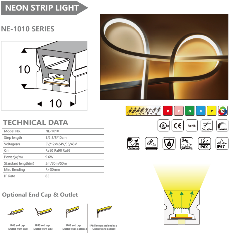 NE-1010 SERIES NEON STRIP LIGHT