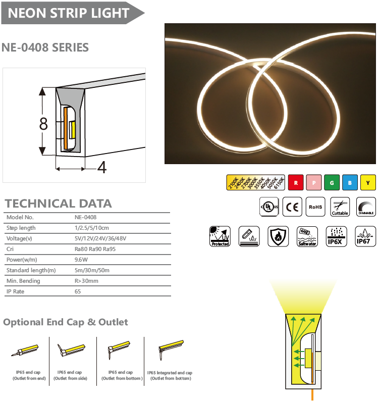 NE-0408 SERIES NEON STRIP LIGHT