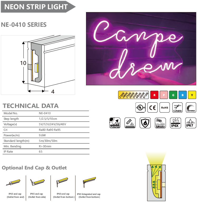 NE-0410 SERIES NEON STRIP LIGHT