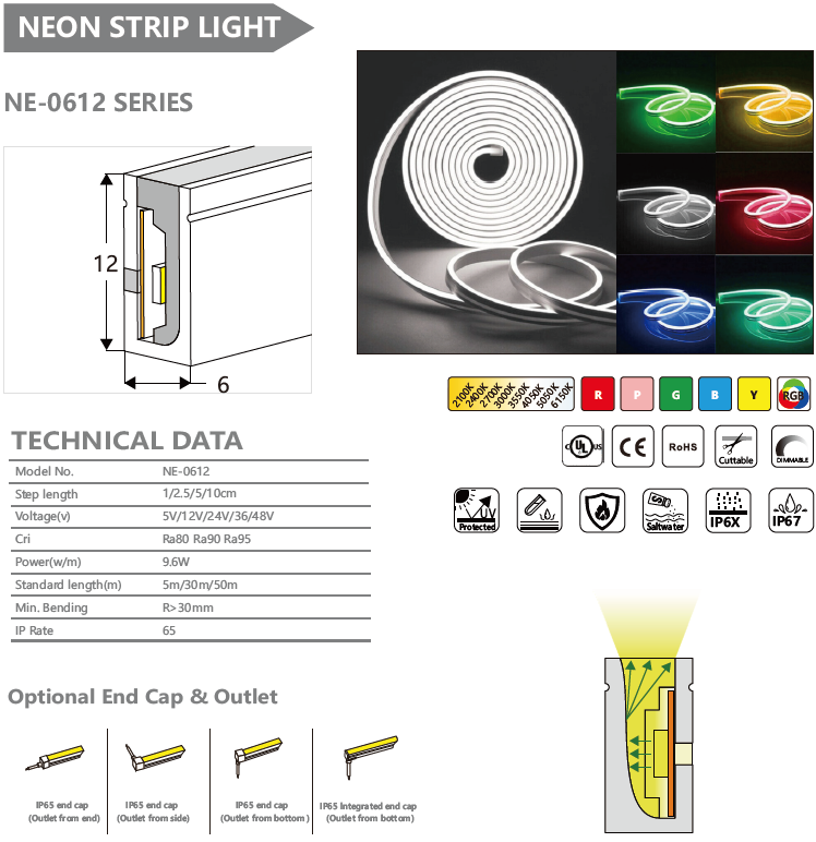 NE-0612 SERIES NEON STRIP LIGHT