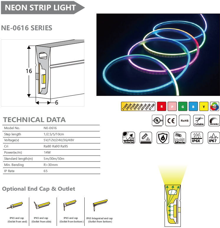 NE-0616 SERIES NEON STRIP LIGHT