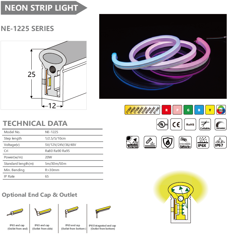 NE-1225 SERIES NEON STRIP LIGHT