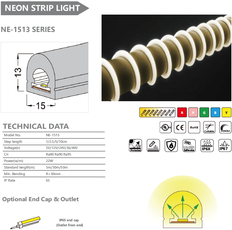 NE-1513 SERIES NEON STRIP LIGHT
