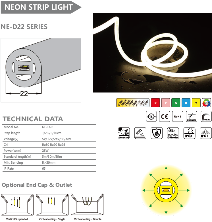NE-D22 SERIES NEON STRIP LIGHT