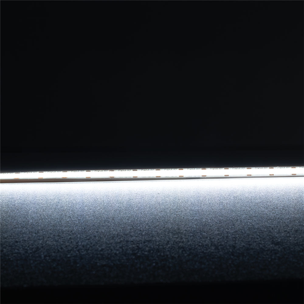 Plex-COB 10W 24V DC 50 Metre Dimmable LED Strip / White