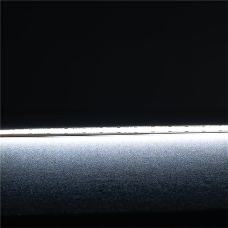 Plex-COB 10W 24V DC 50 Metre Dimmable LED Strip / White